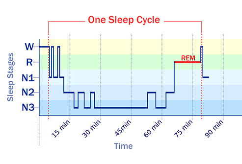 Why is sleep important? - Denison Chiropractic